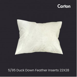 5/95 Duck Down/ Feather Inserts 22(Inch) X 28 (inch)- Carton of 10
